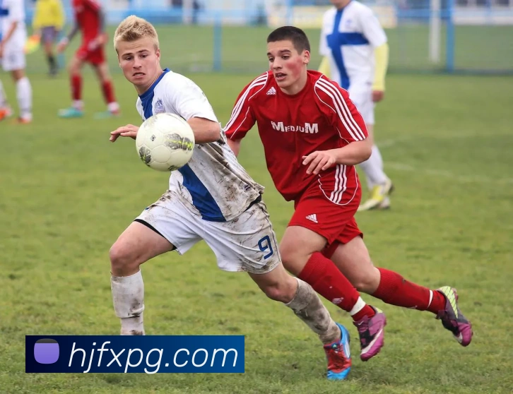 pg官网服务体系